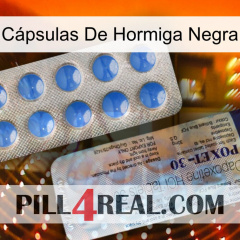 Cápsulas De Hormiga Negra 39